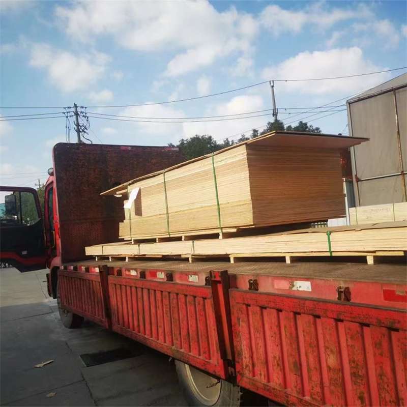 江西赣州龙南县至塔城货运专线，一站式物流服务助您成功